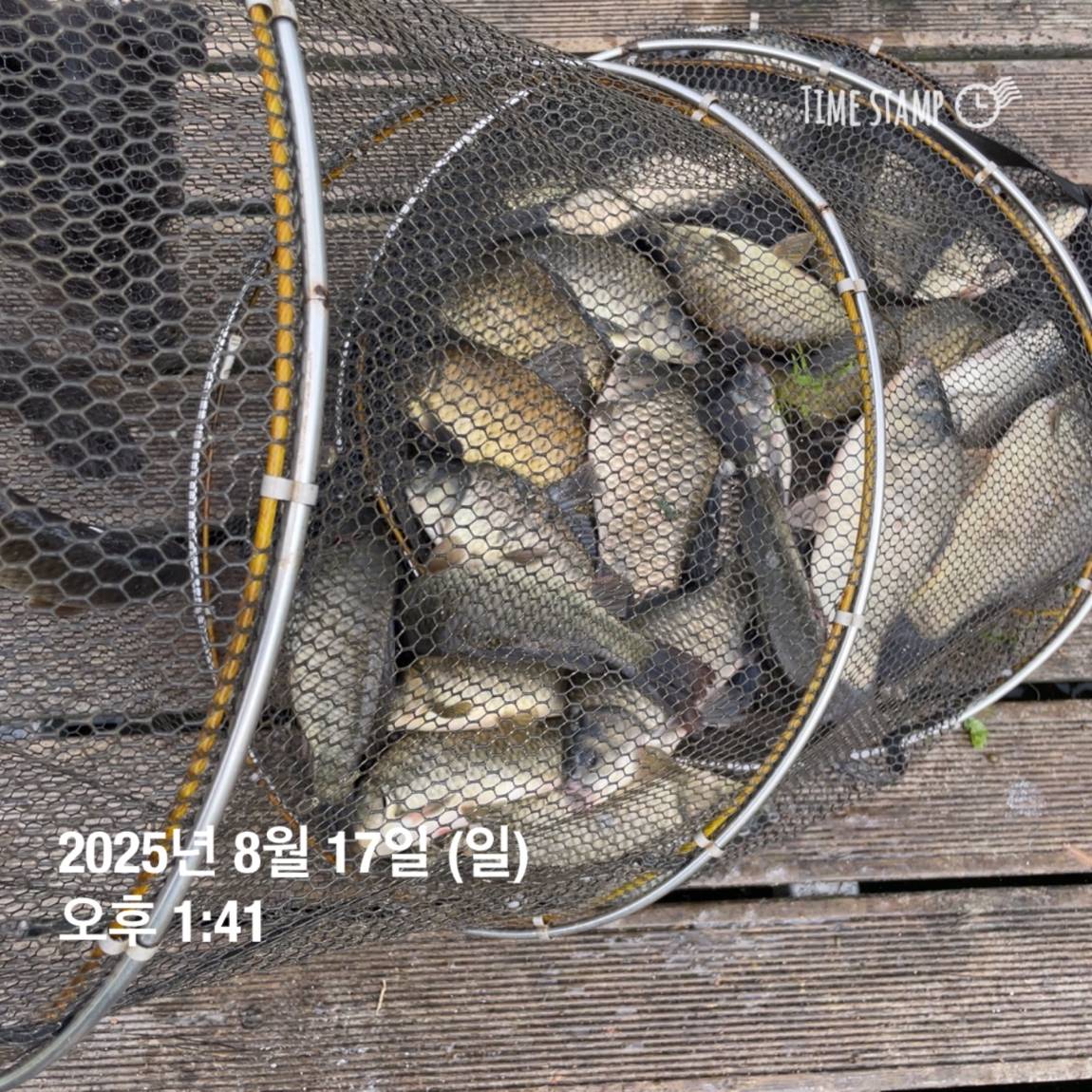 KakaoTalk_20250817_145913188_15.jpg