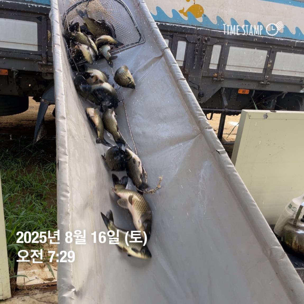 KakaoTalk_20250817_145913188_18.jpg
