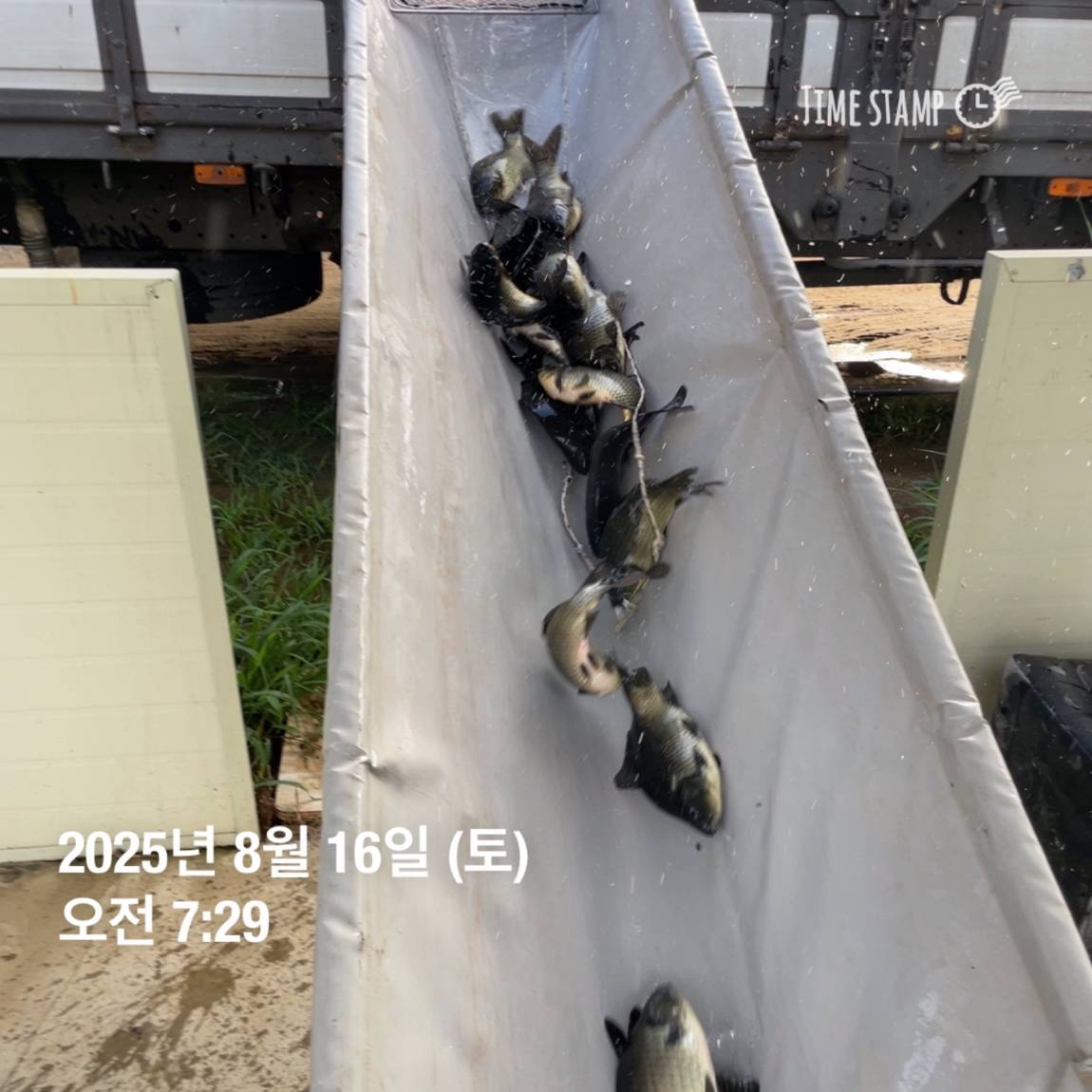 KakaoTalk_20250817_145913188_20.jpg