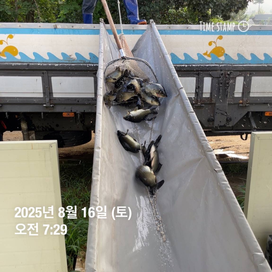 KakaoTalk_20250817_145913188_21.jpg
