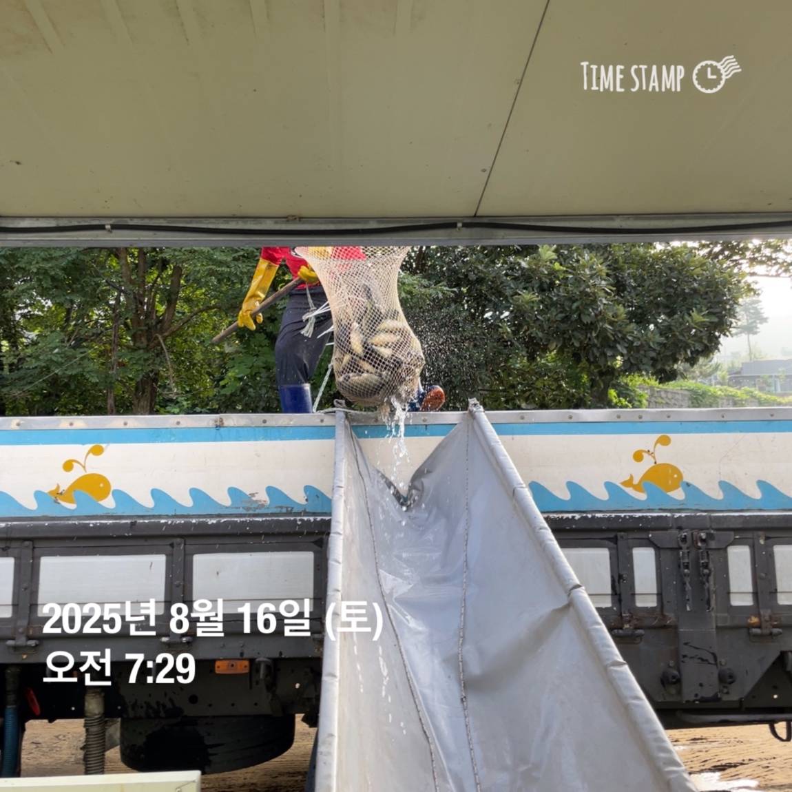 KakaoTalk_20250817_145913188_22.jpg