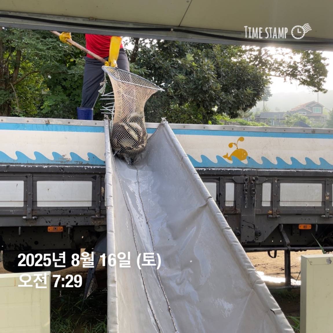 KakaoTalk_20250817_145913188_24.jpg