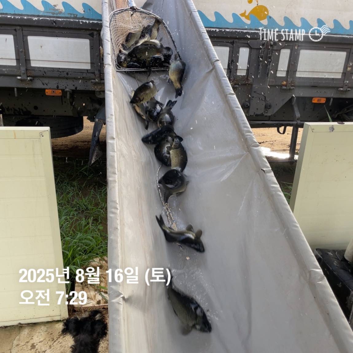 KakaoTalk_20250817_145913188_25.jpg