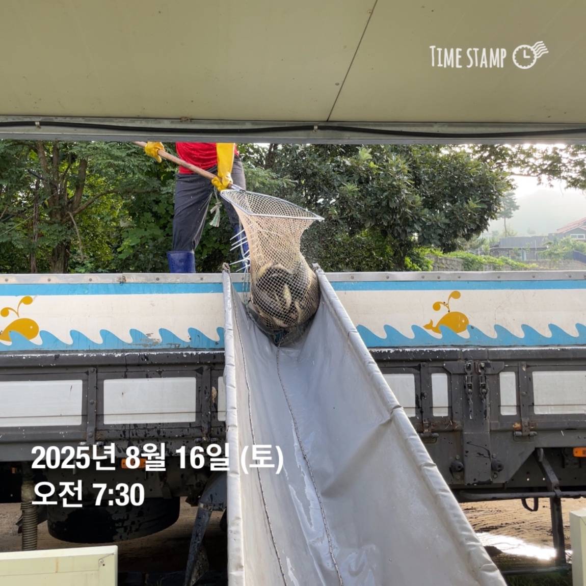 KakaoTalk_20250817_145913188_26.jpg