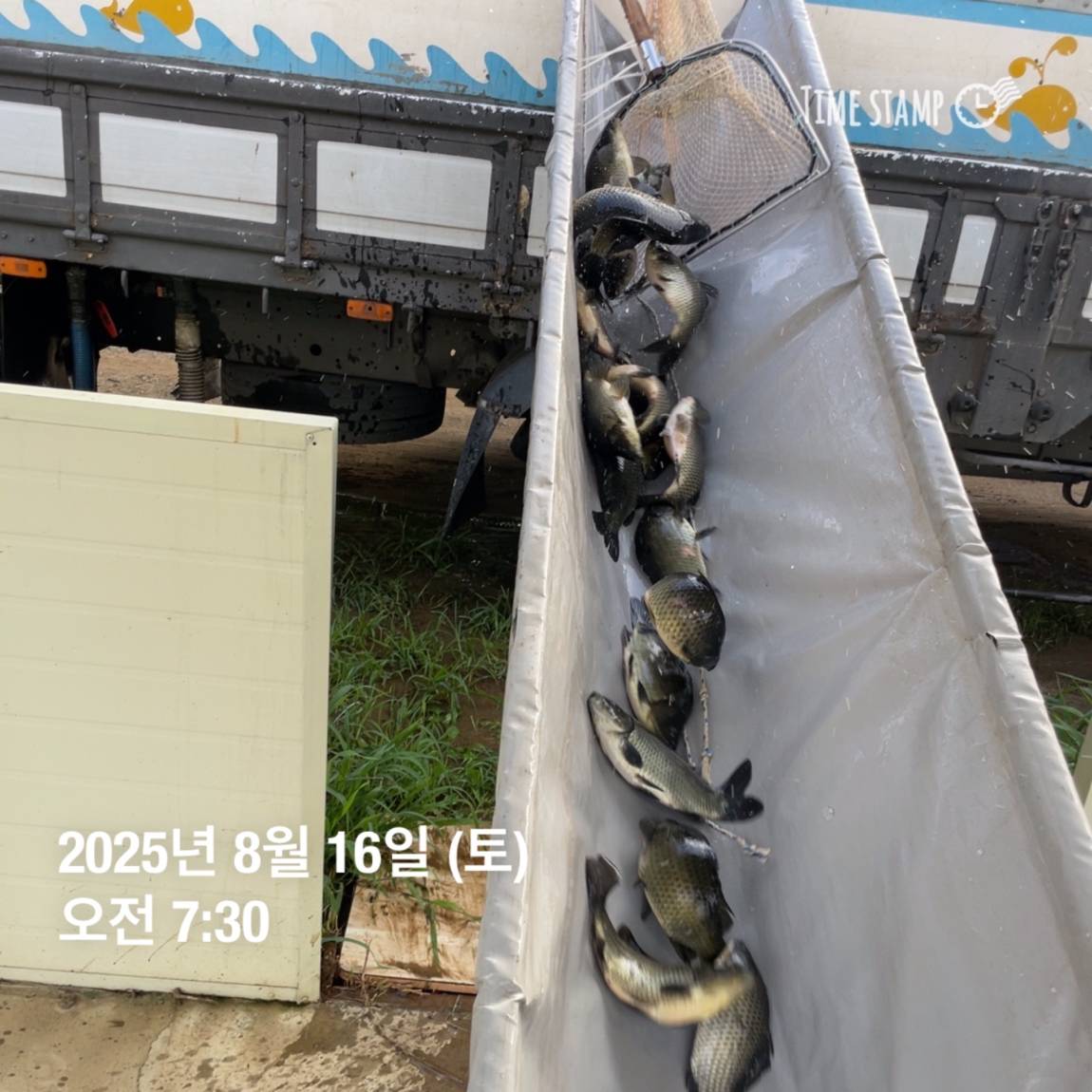 KakaoTalk_20250817_145913188_28.jpg