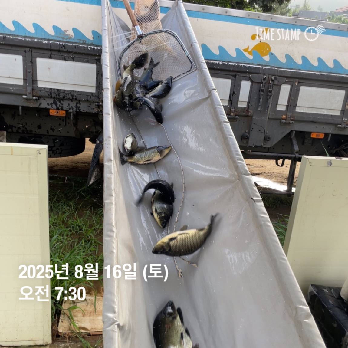 KakaoTalk_20250817_145916168.jpg