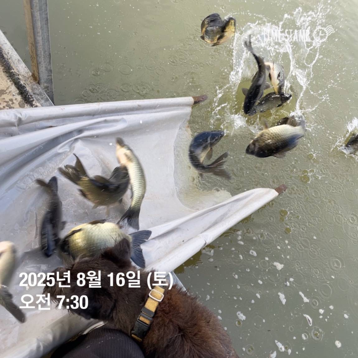KakaoTalk_20250817_145913188_29.jpg