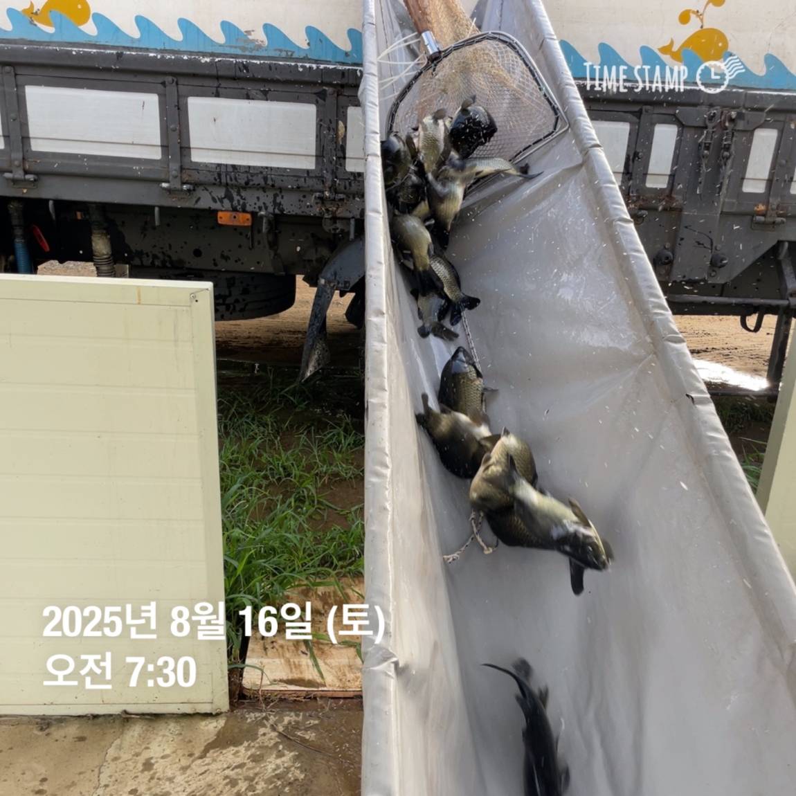 KakaoTalk_20250817_145916168_02.jpg