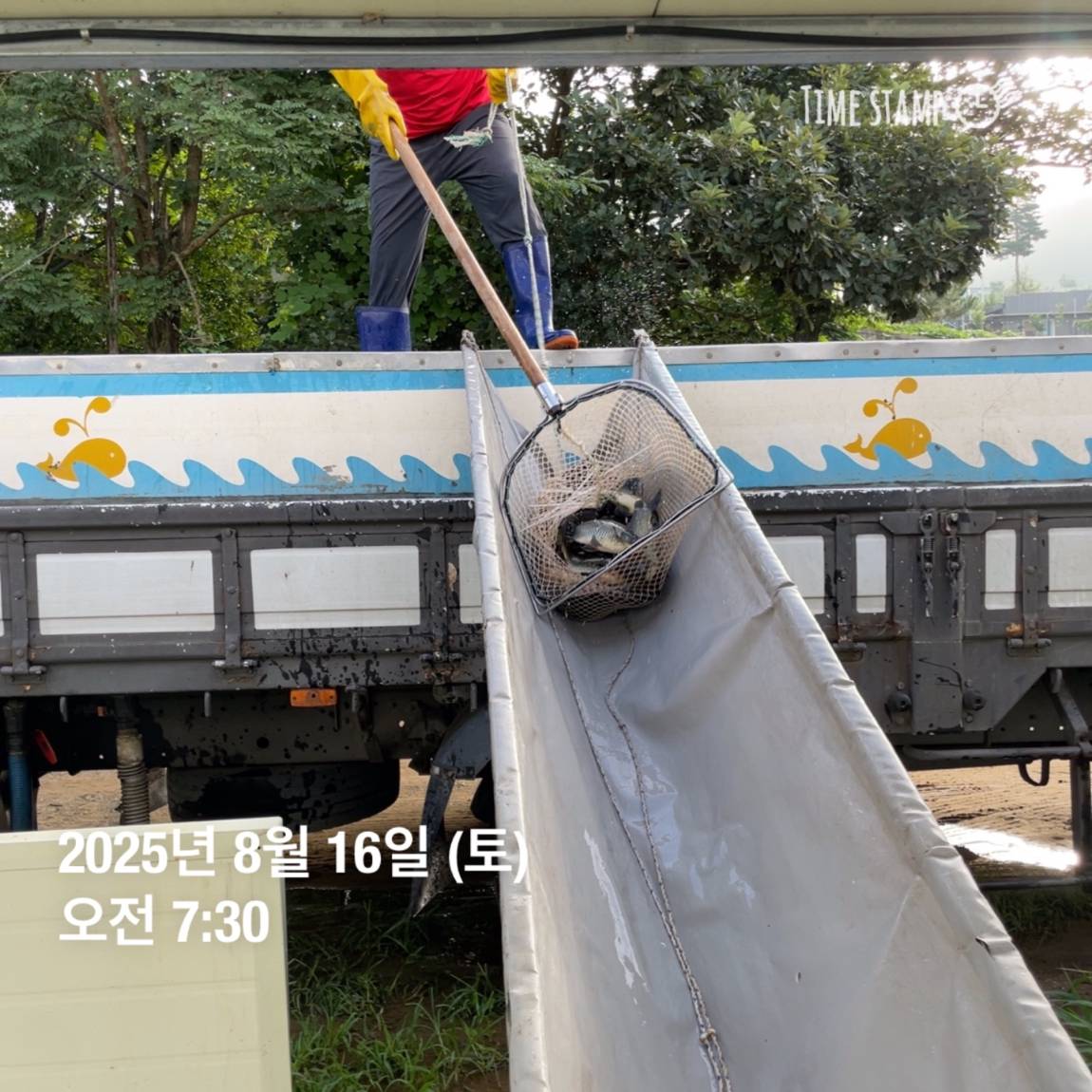 KakaoTalk_20250817_145916168_03.jpg