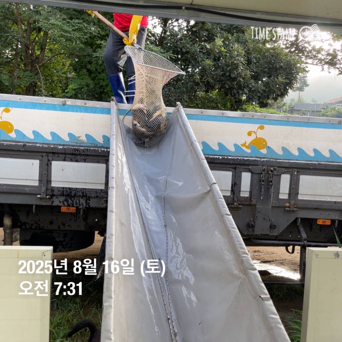KakaoTalk_20250817_145916168_04.jpg