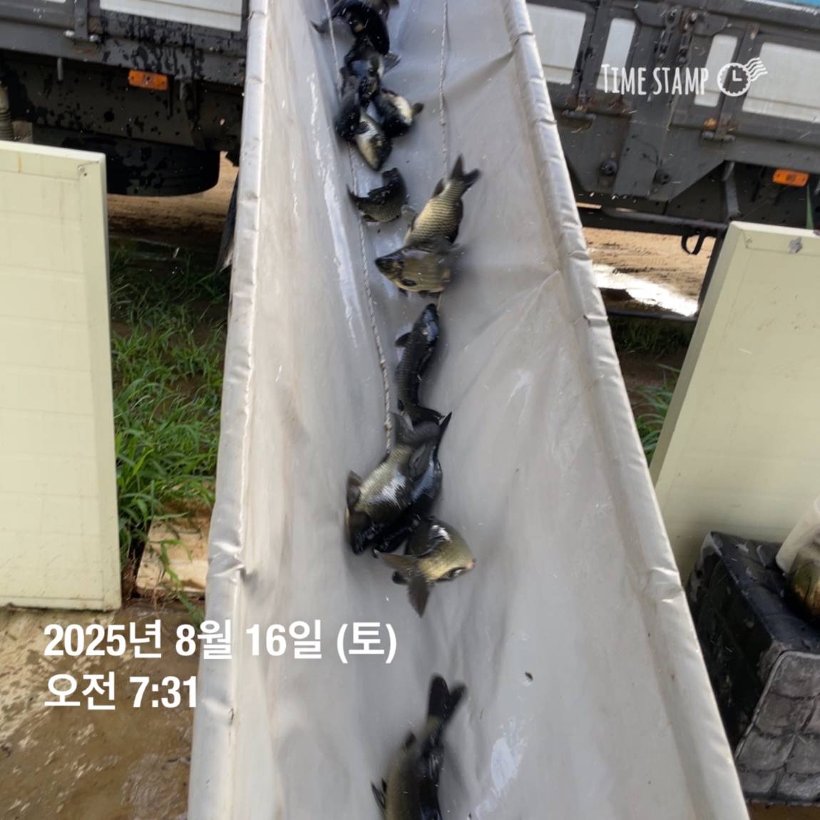 KakaoTalk_20250817_145916168_05.jpg