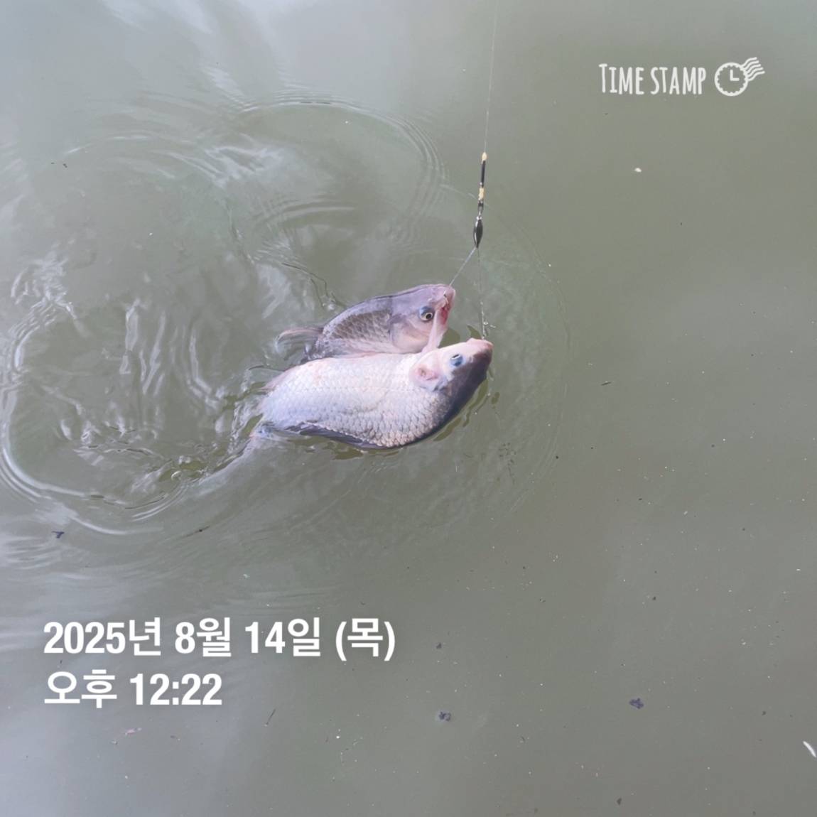 KakaoTalk_20250817_145916168_07.jpg