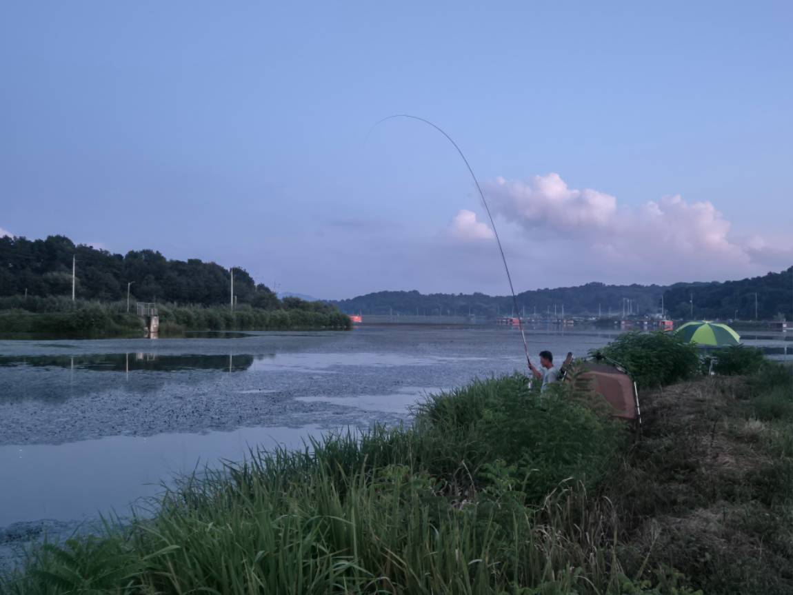 20250815_193509.jpg