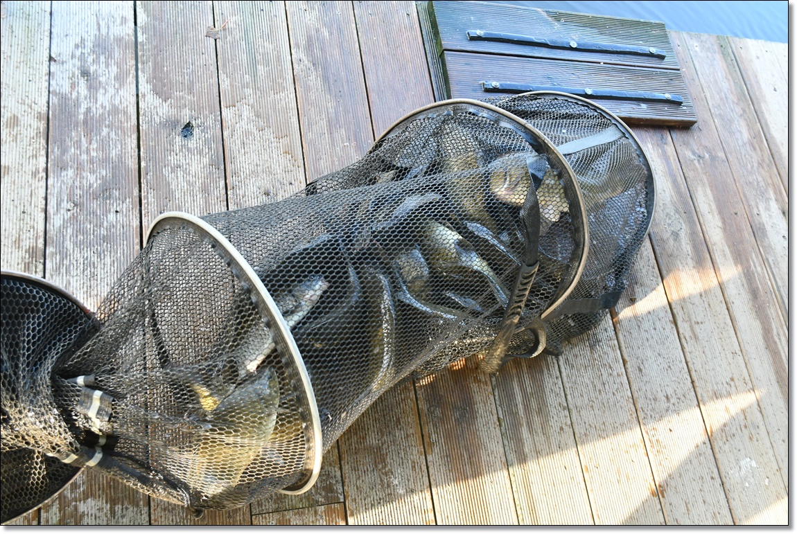DSC_4238.JPG