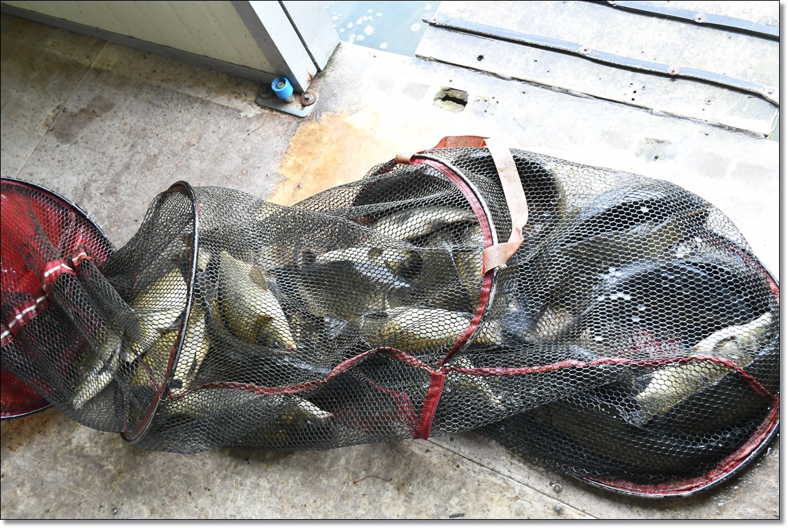 DSC_4284.JPG