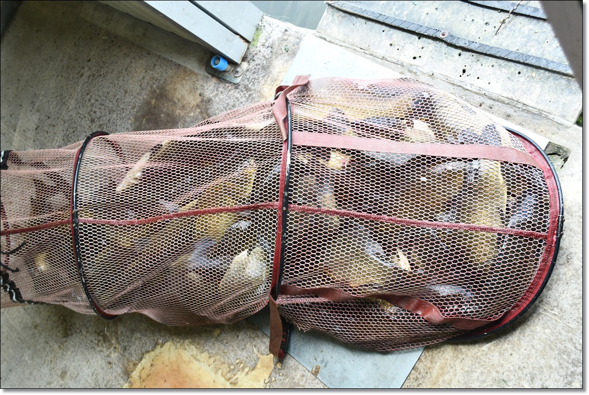 DSC_4292.JPG