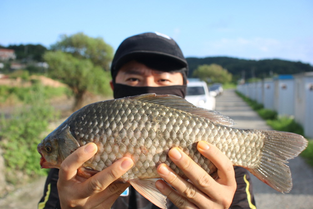 [크기변환]IMG_8028.JPG