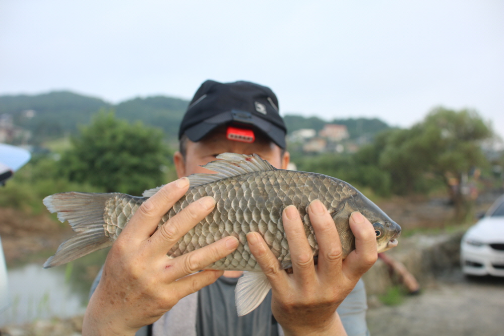 [크기변환]IMG_7984.JPG