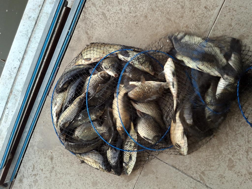 KakaoTalk_20250823_065201623_03.jpg