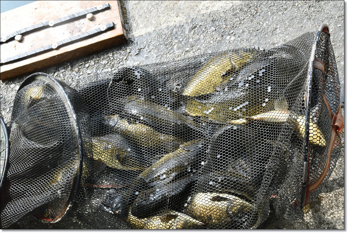DSC_4399.JPG