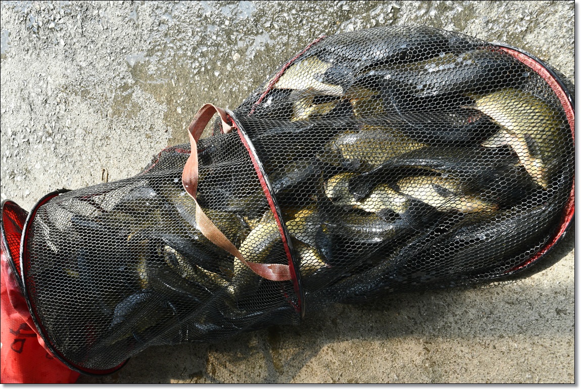DSC_4405.JPG