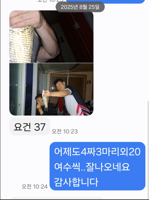08273.png