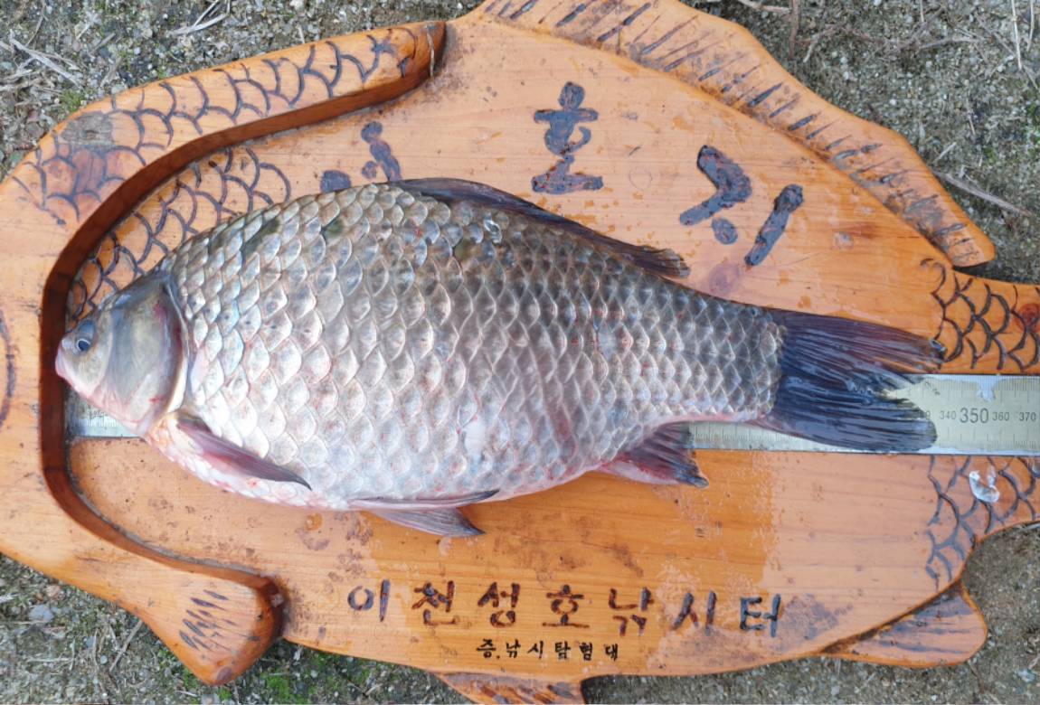 34 - 복사본.jpg