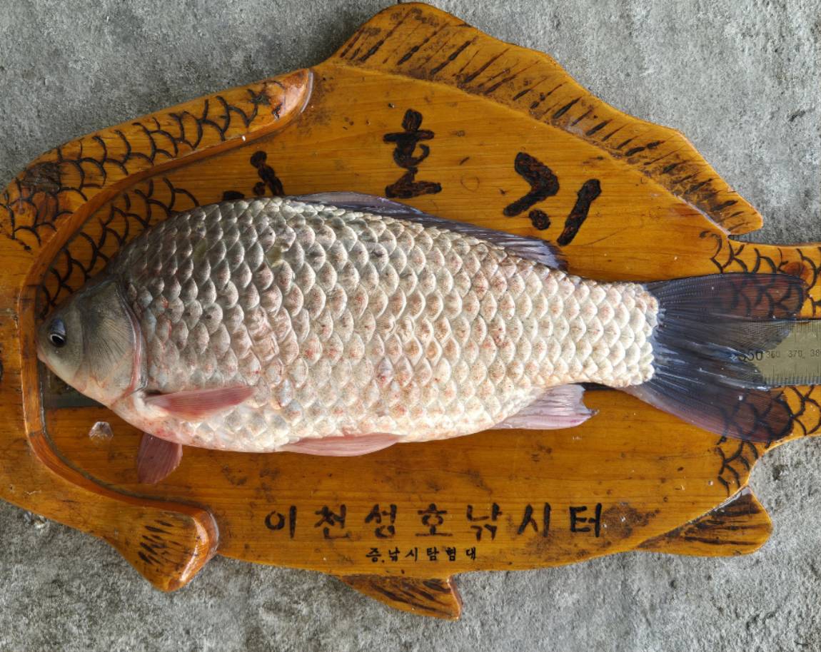37 (4) - 복사본.jpg