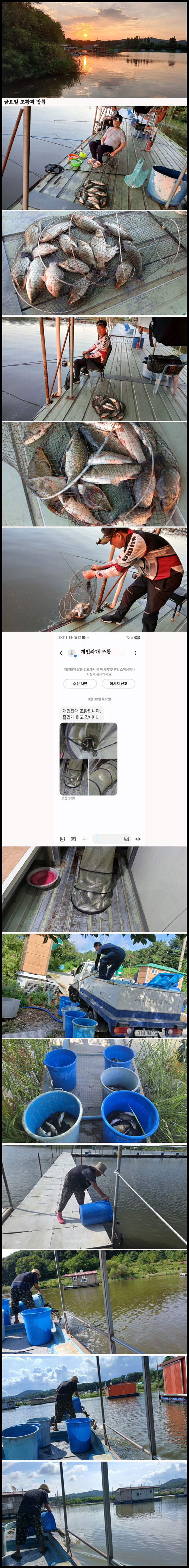 8301.jpg