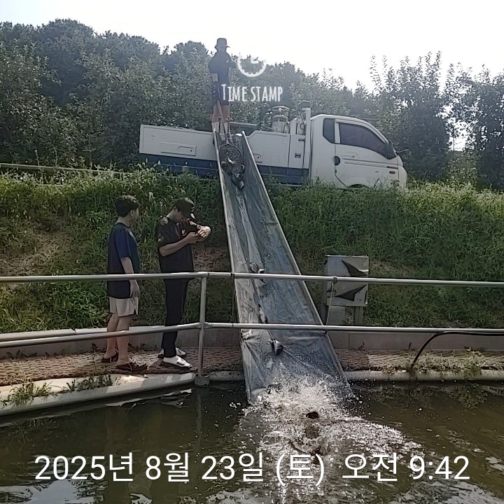 2025-08-23T09_42_22.668.jpg