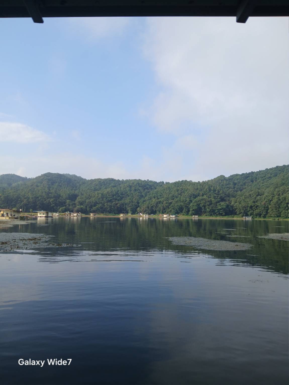 20250831_080453.jpg
