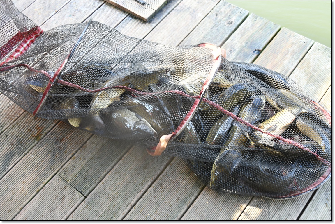 DSC_4501.JPG