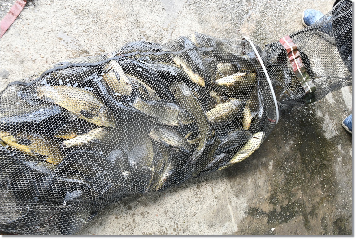 DSC_4539.JPG