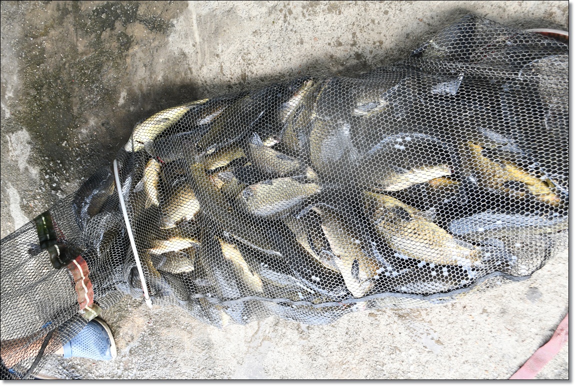 DSC_4540.JPG
