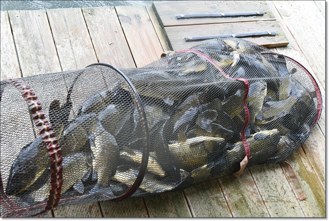 DSC_4562.JPG