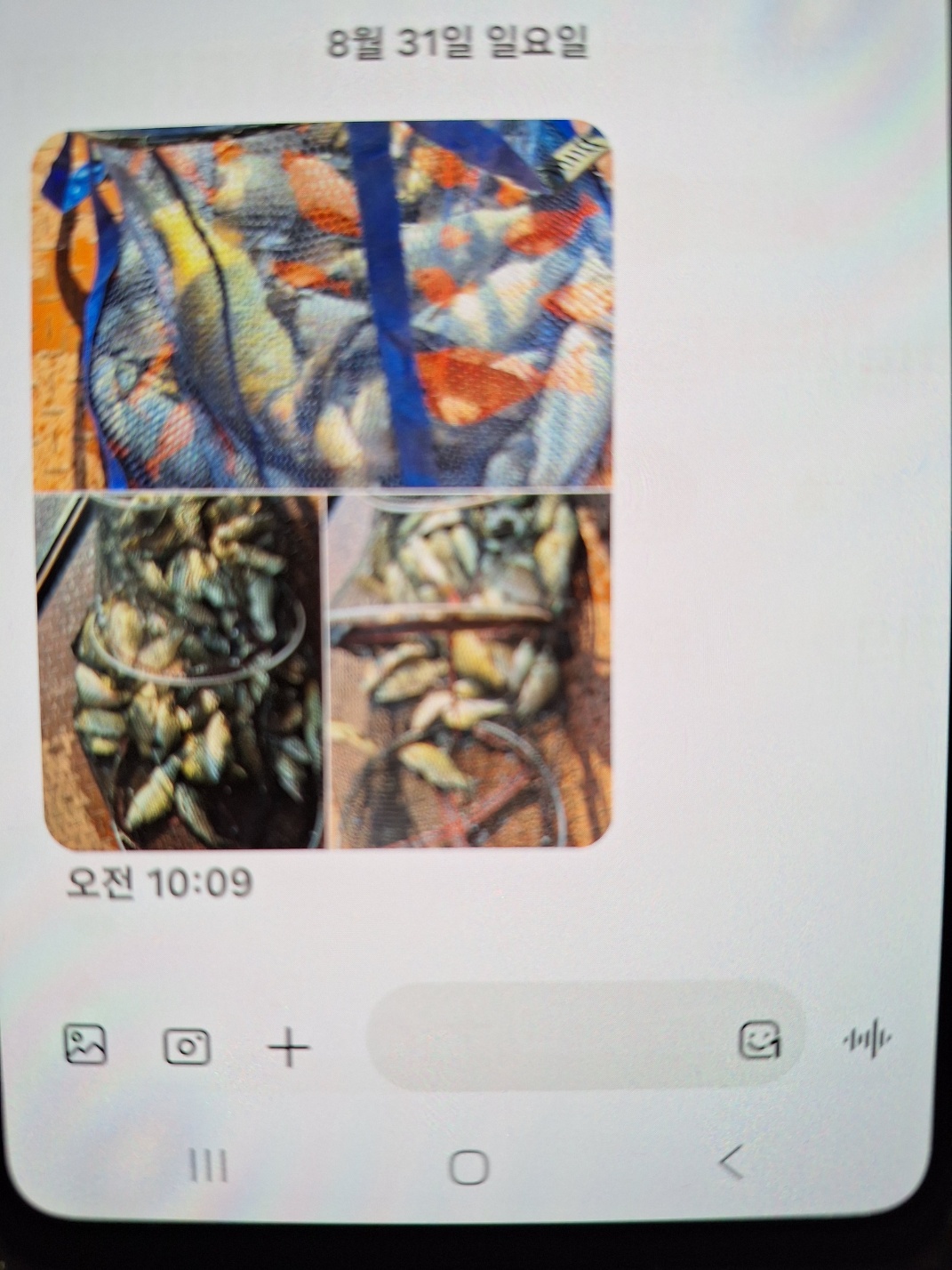 KakaoTalk_20250901_114105983.jpg