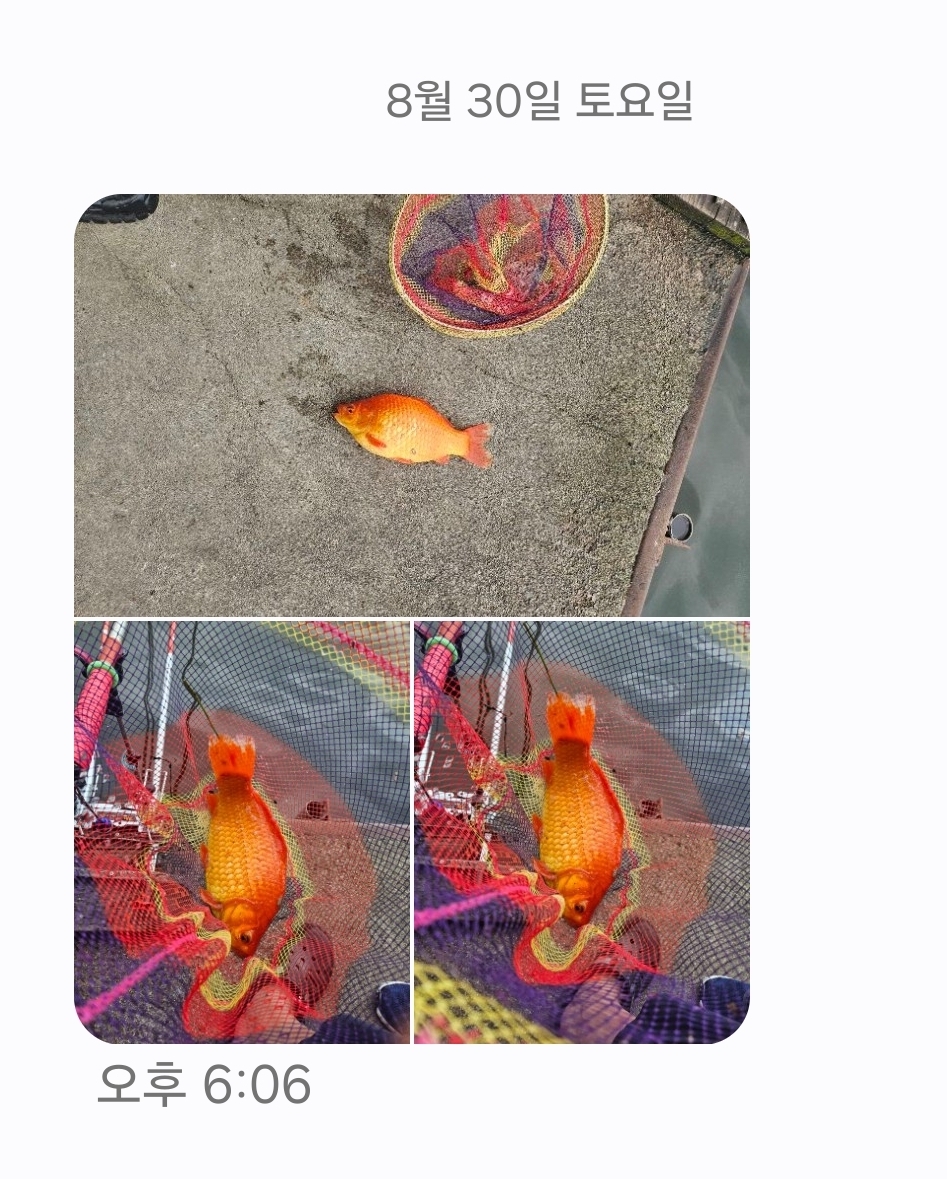 KakaoTalk_20250901_114421964.jpg