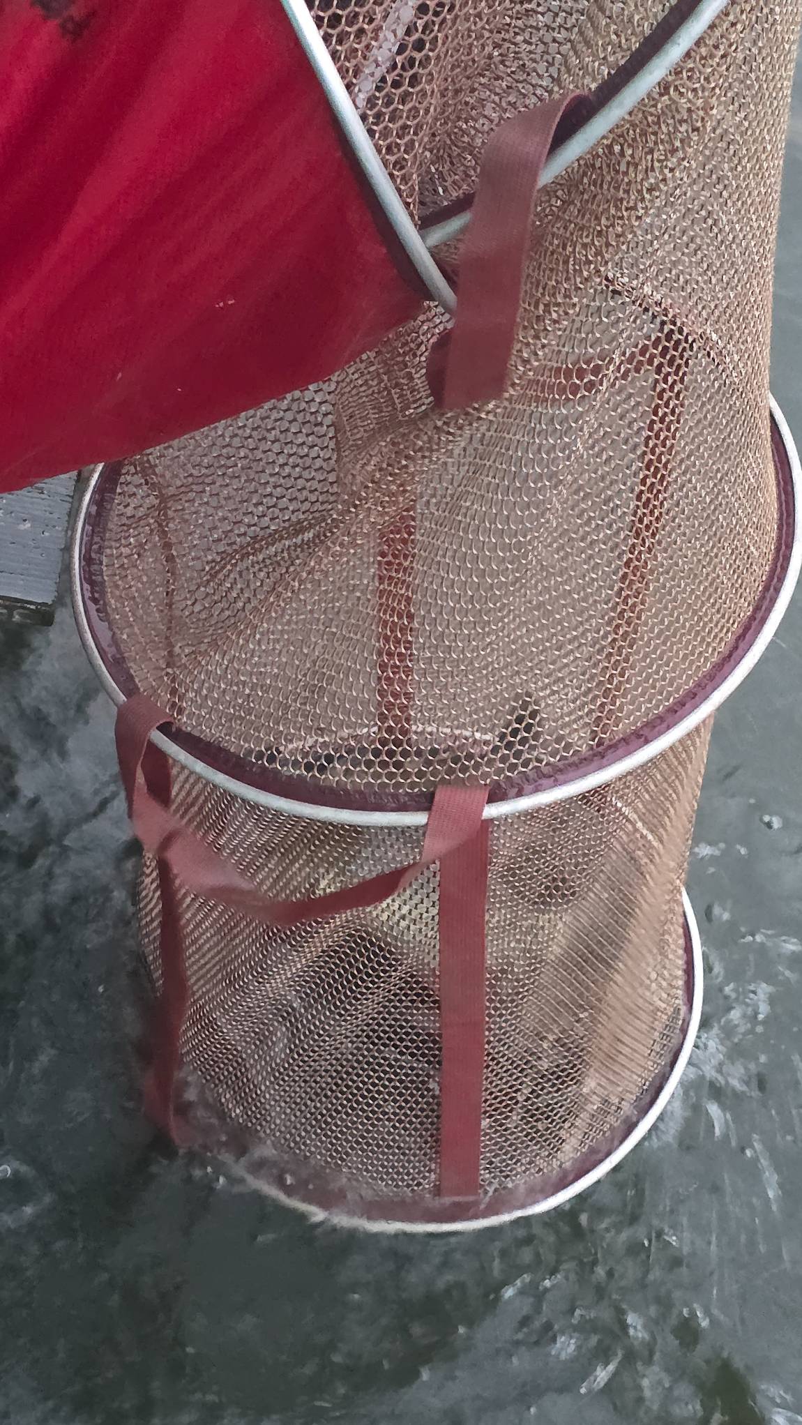 20250901_060907.jpg