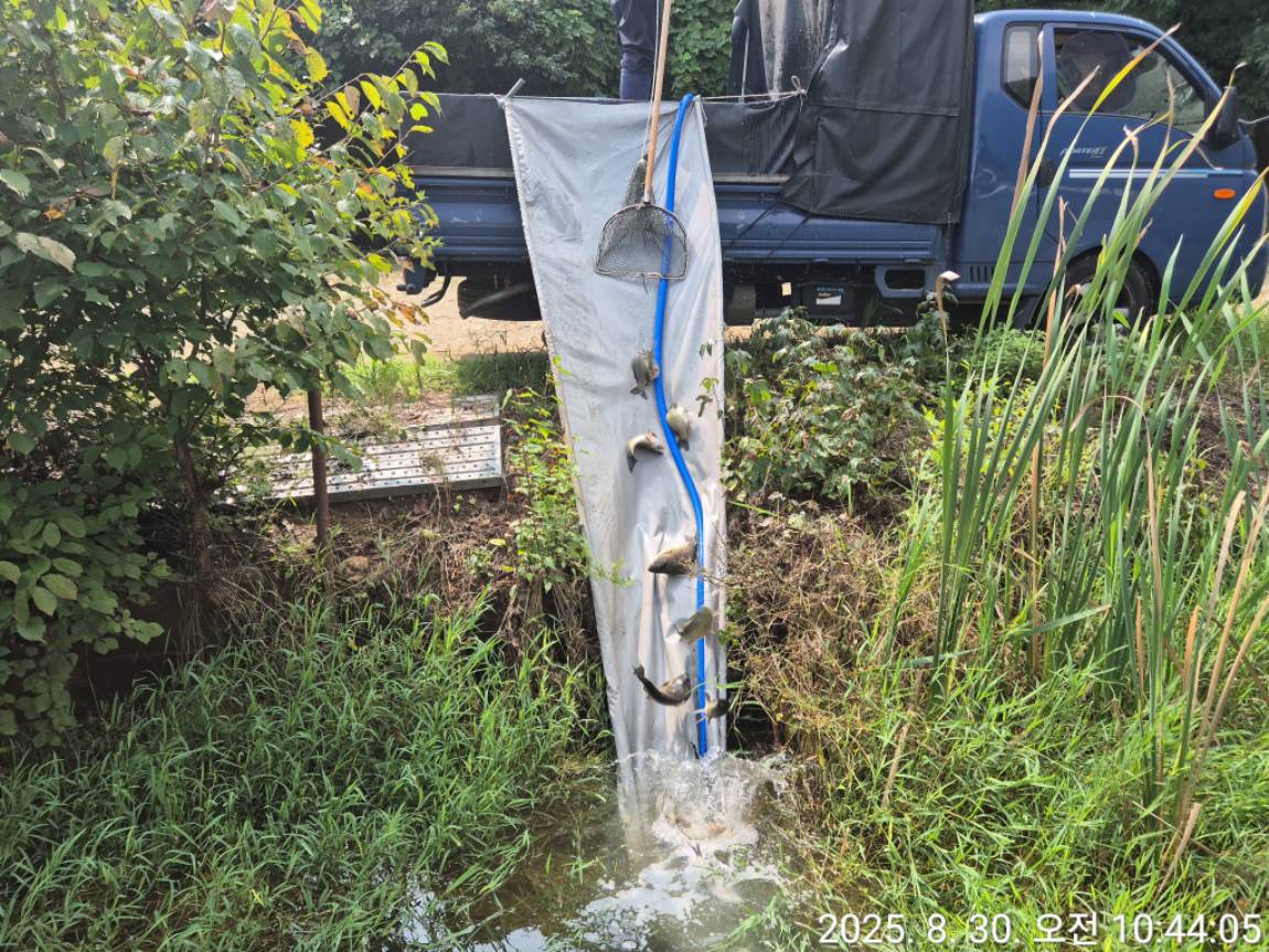 KakaoTalk_20250901_120817504_01 (1).jpg