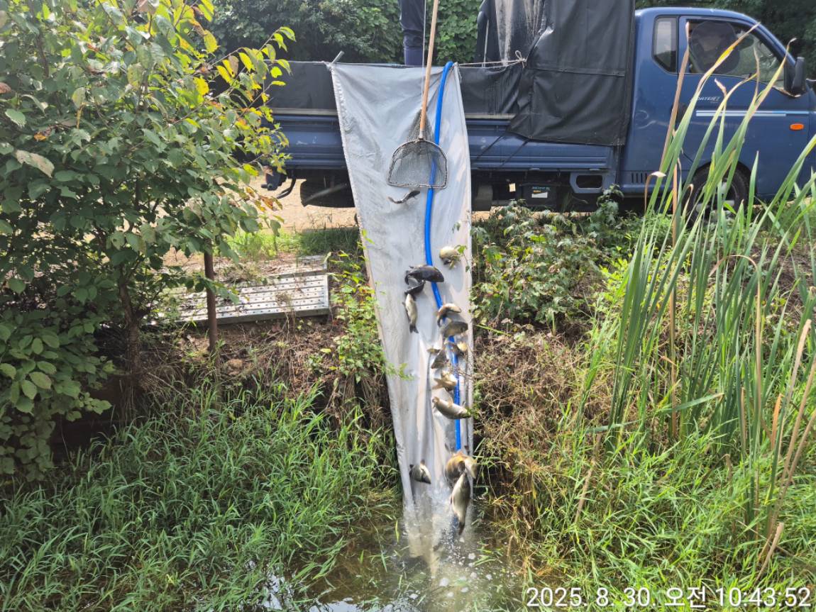 KakaoTalk_20250901_120817504_02 (2).jpg