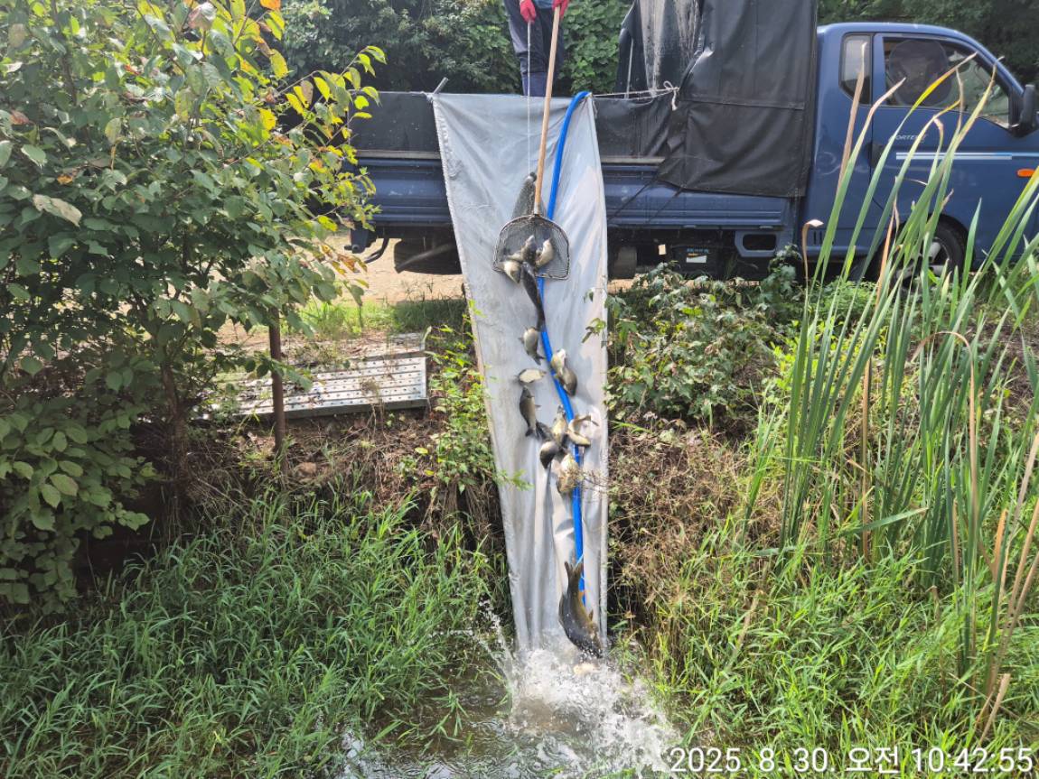 KakaoTalk_20250901_120817504_08 (1).jpg