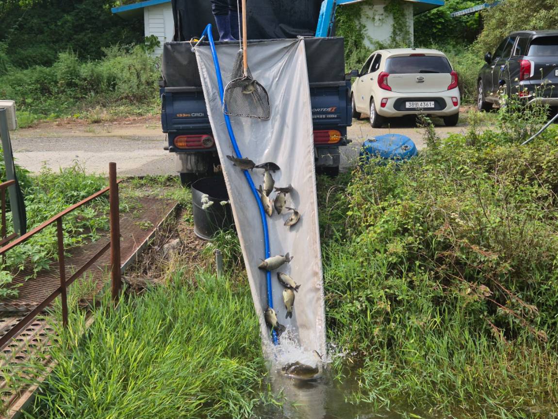 KakaoTalk_20250901_120817504_28 (1).jpg