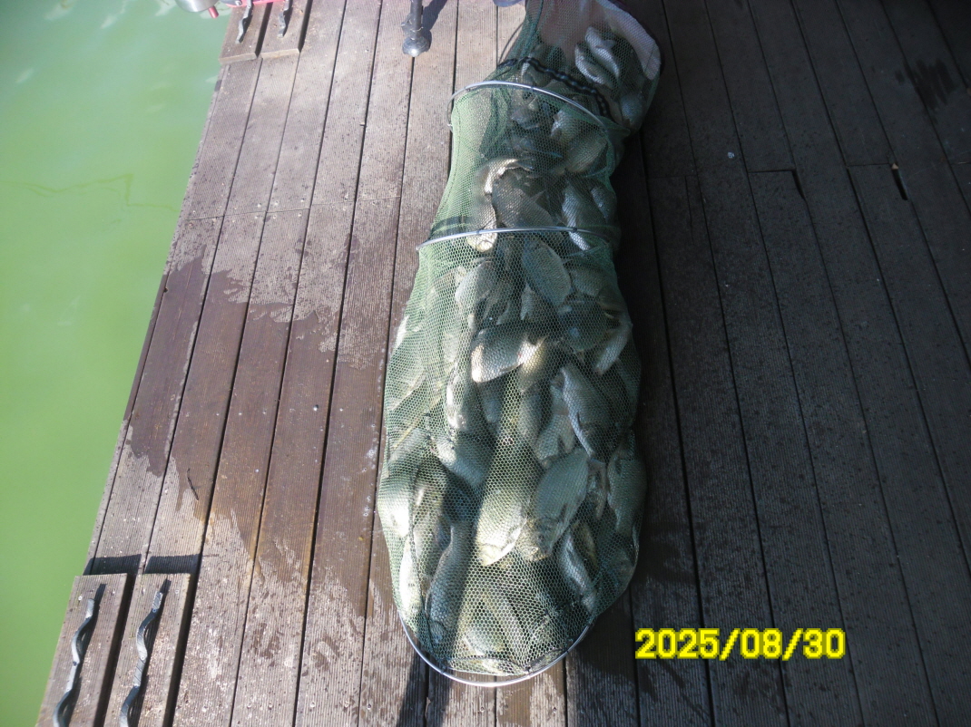 SAM_5400.JPG