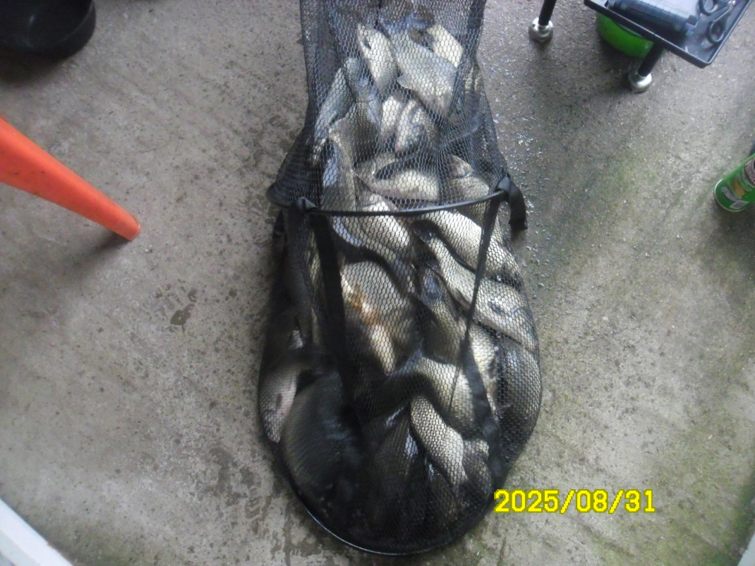 SAM_5427.JPG
