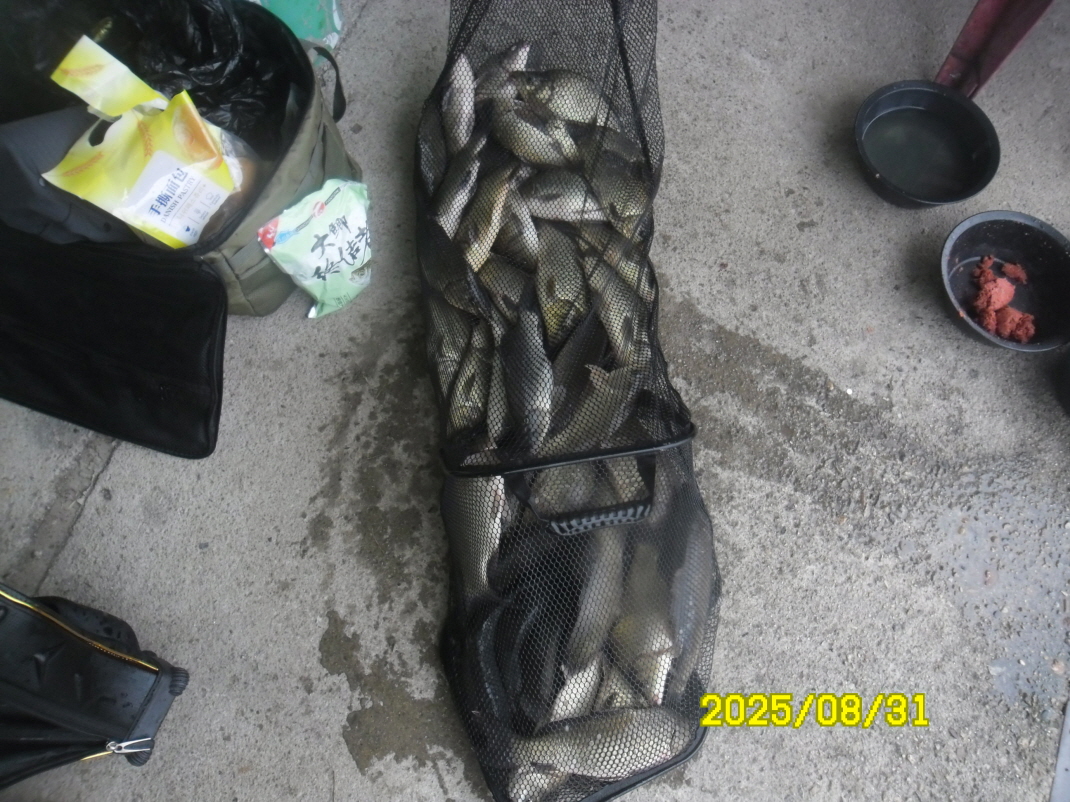 SAM_5439.JPG