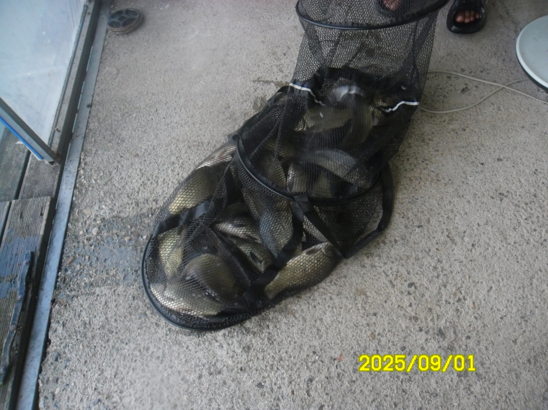 SAM_5483.JPG