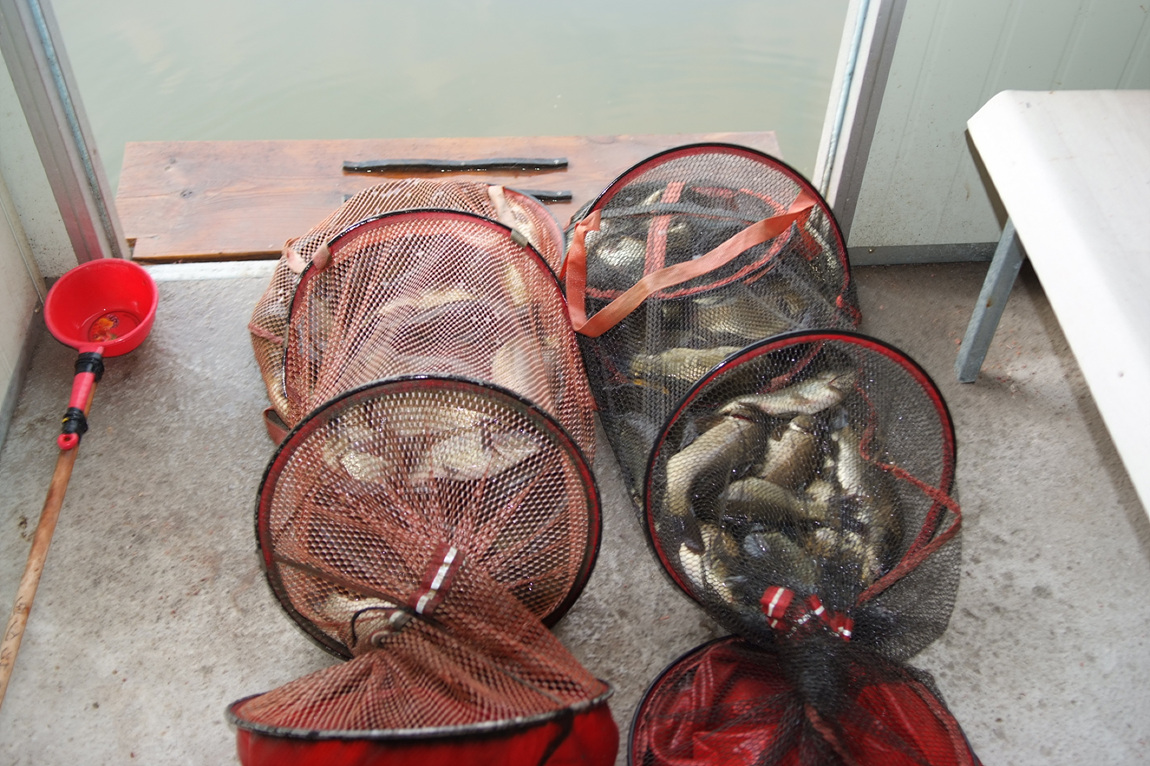 DSCF4270.jpg