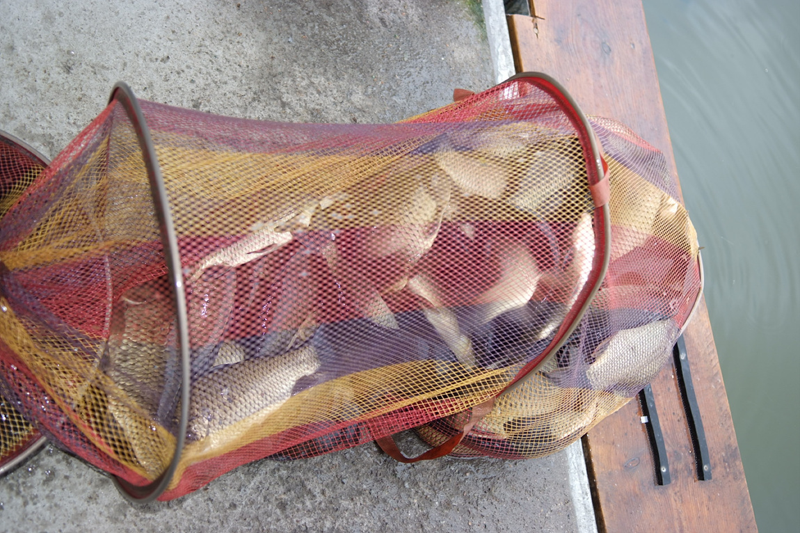 DSCF4281.jpg