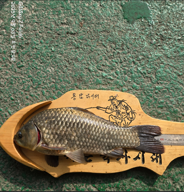 화면 캡처 2025-09-03 170926.png