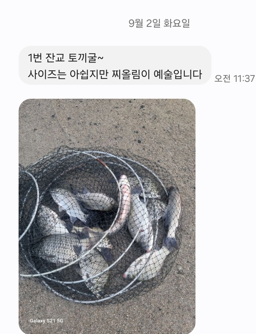 Screenshot_20250903_164638_Messages.jpg